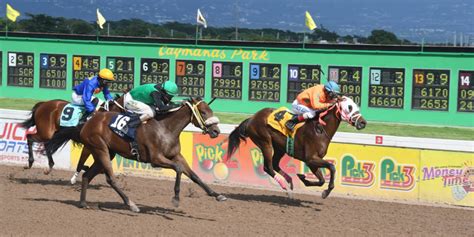 caymanas track results